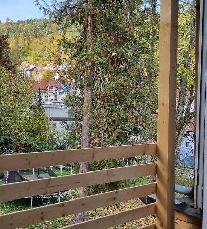 Sm3 Apartment Triberg im Schwarzwald Luaran gambar