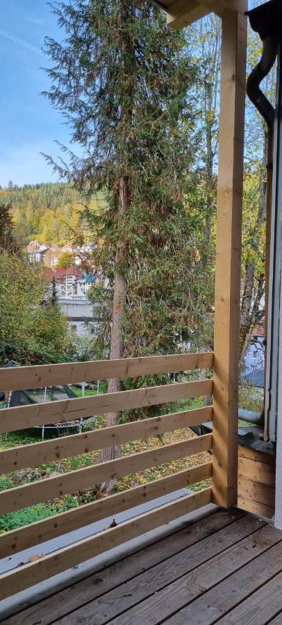 Sm3 Apartment Triberg im Schwarzwald Luaran gambar